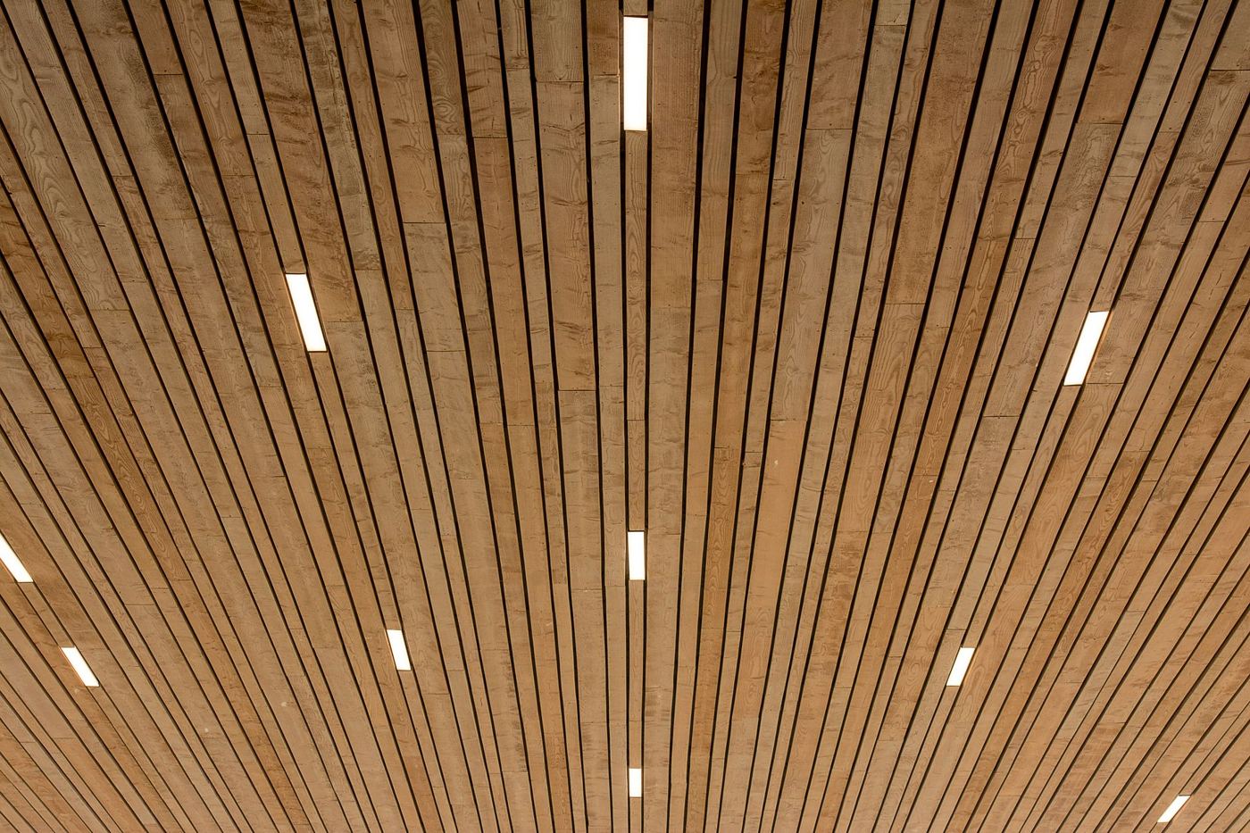 Wall & Ceiling Panels